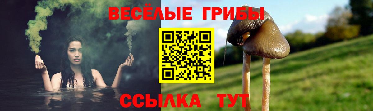 Псилоцибиновые грибы MAGIC MUSHROOMS Ленинск-Кузнецкий